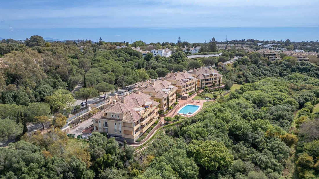 House in Sotogrande, San Roque, Andalusia 1 - 17688667