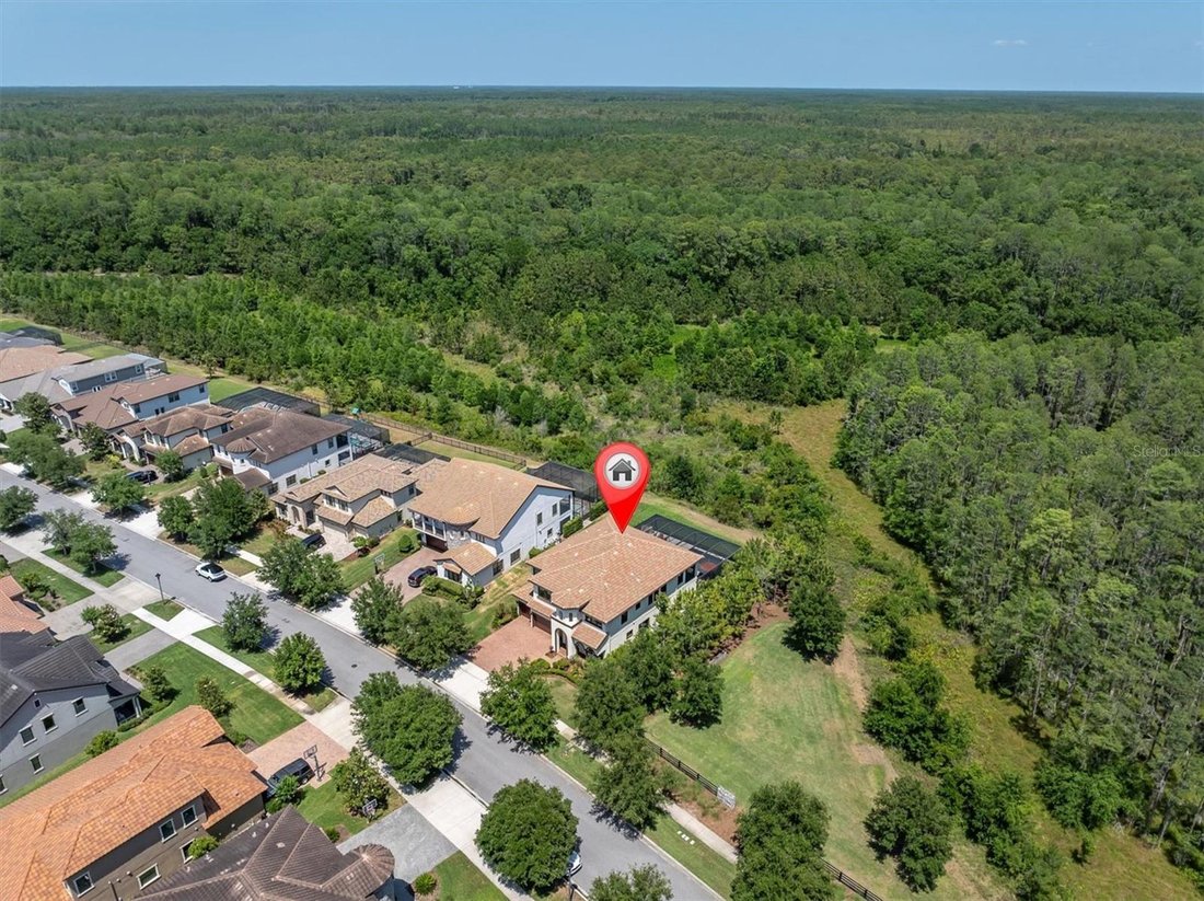 House in Odessa, Florida, United States 4 - 17683363
