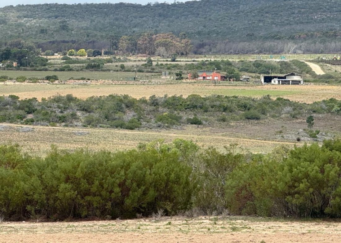Farm Ranch in Johannesburg, Gauteng, South Africa 2 - 17684759