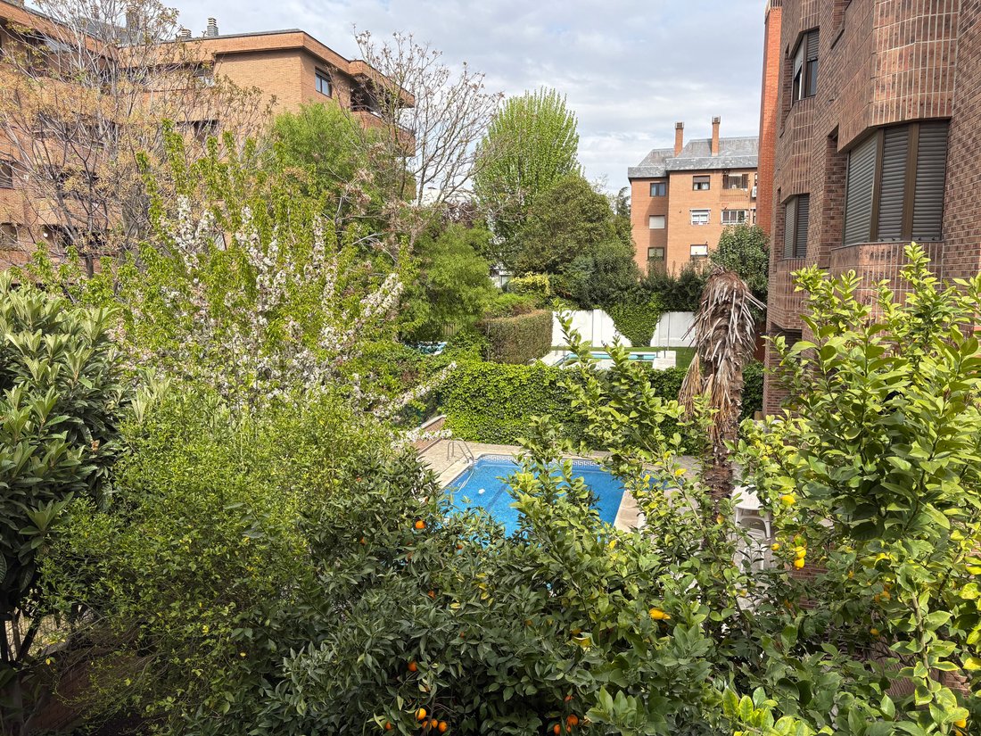 Apartment in Ciudad Lineal, Madrid, Spain 2 - 17524505