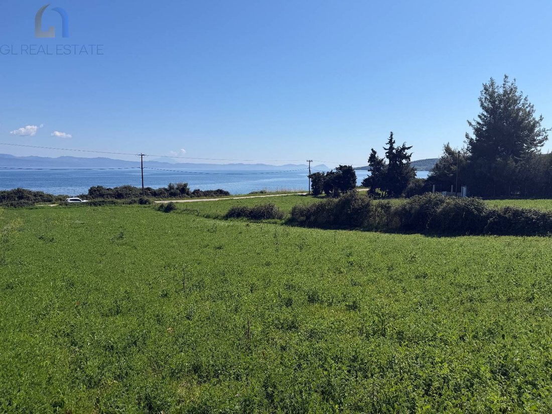 Land in Pallini Municipal Unit, Macedonia and Thrace, Greece 4 - 17687157