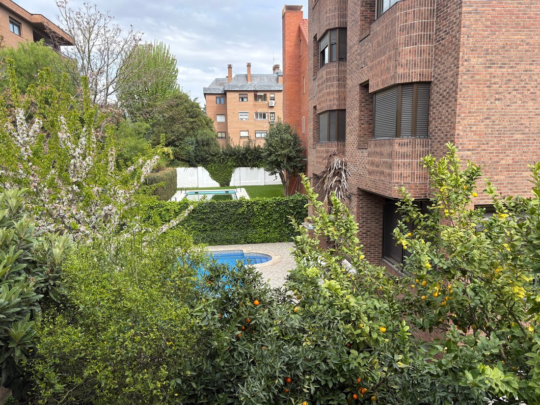 Apartment in Ciudad Lineal, Madrid, Spain 3 - 17524505