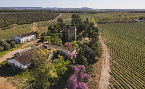 Finca in Sousel, Portalegre, Portugal 1