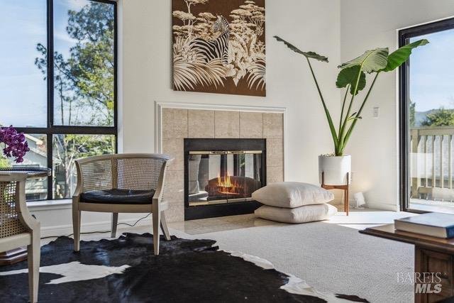 House in Mill Valley, California, United States 3 - 17688711