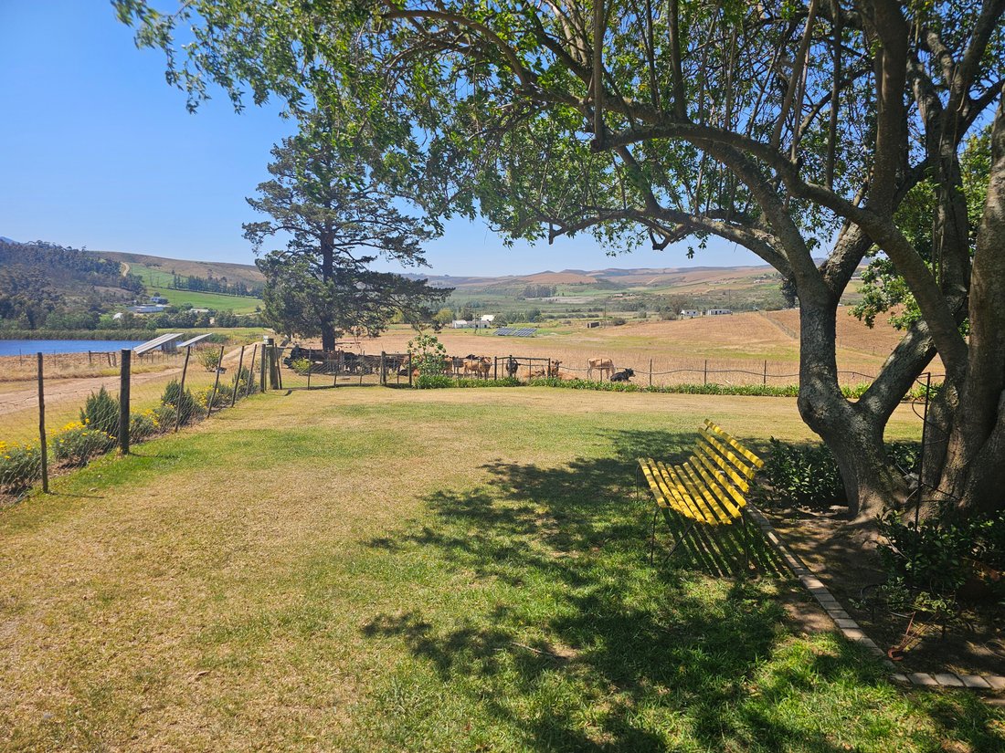 Farm Ranch in Hessequa Local Municipality, Western Cape, South Africa 5 - 17685013