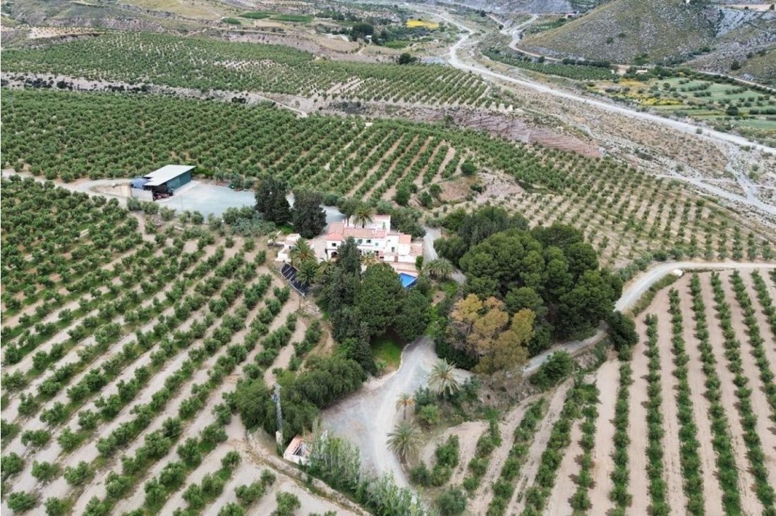 Finca in Puerto Lumbreras, Región de Murcia, Spain 3 - 17687325