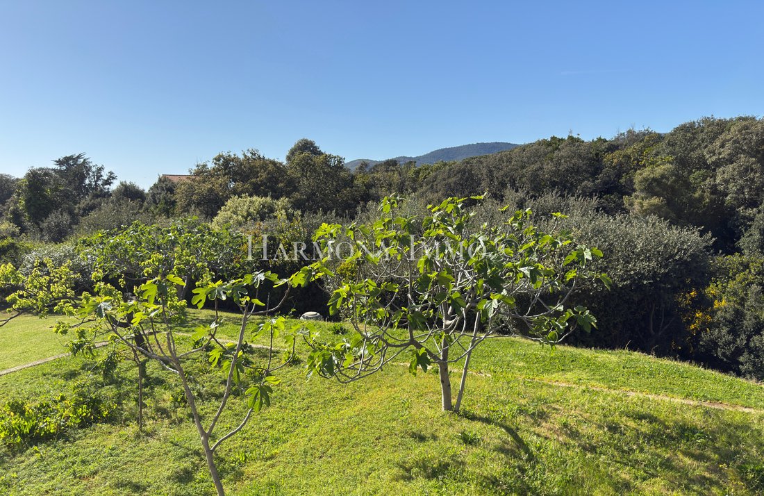 Villa in Vico, Corsica, France 1 - 17687622