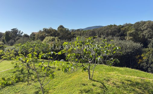 Villa in Vico, Corsica, France 1