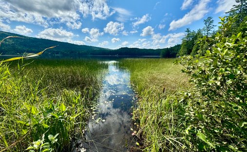 Land in Lyme, New Hampshire, United States 1