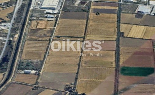 Land in Echedoros, Macedonia and Thrace, Griechenland 1