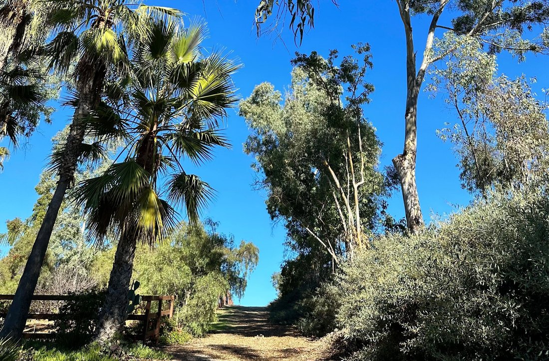 Land in Encinitas, California, United States 3 - 17689168