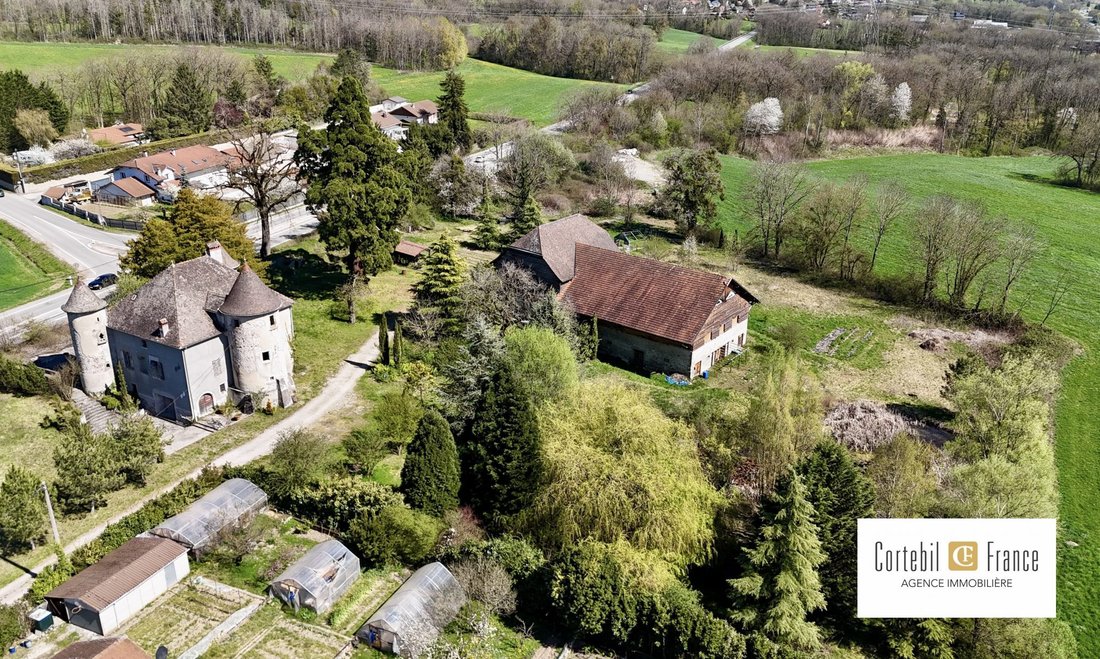 Chateau in Arthaz-Pont-Notre-Dame, Auvergne-Rhône-Alpes, France 2 - 17689025