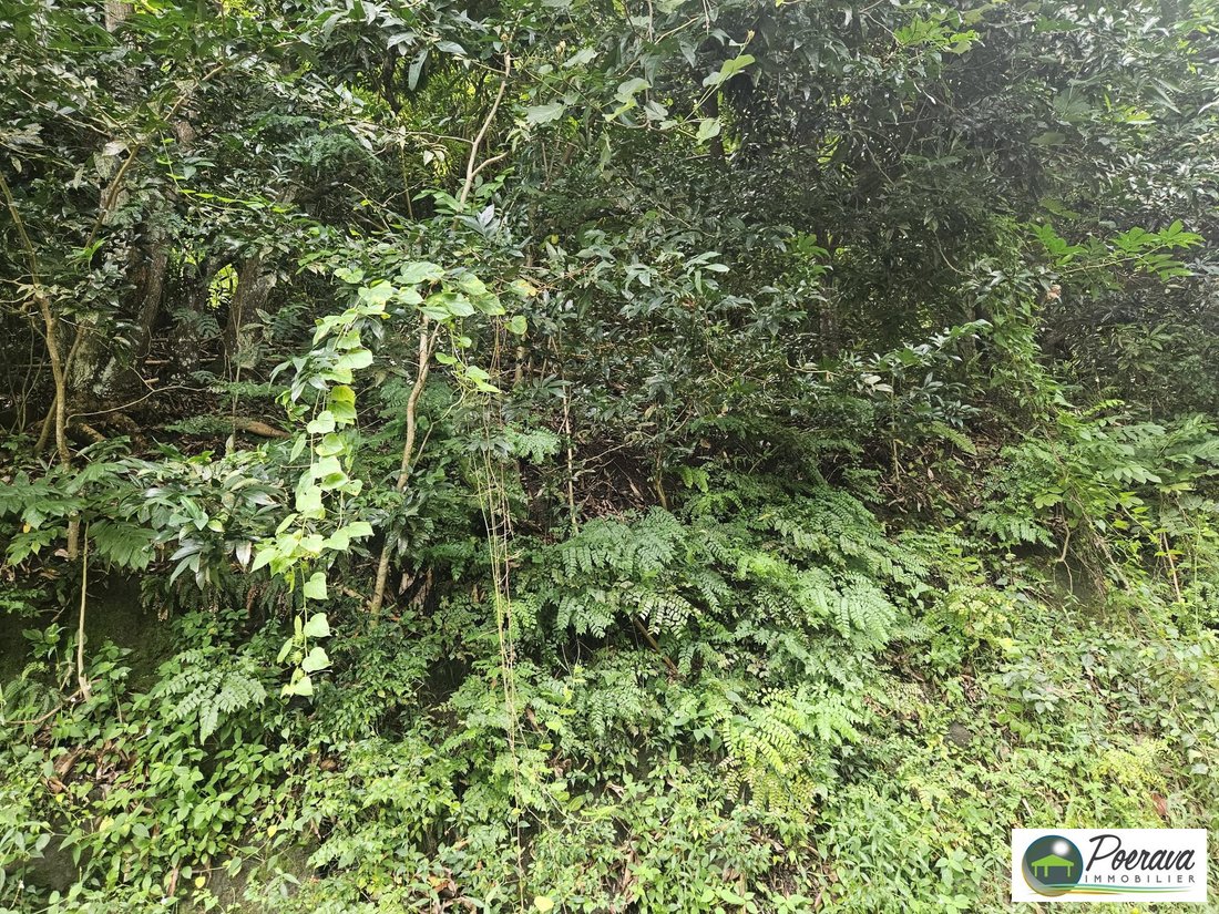 Land in Puna'auia, Windward Islands, French Polynesia 4 - 17689201