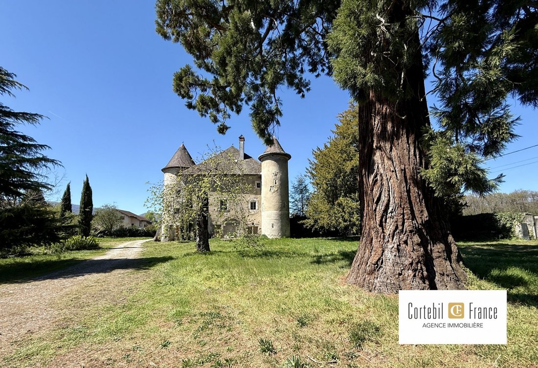 Chateau in Arthaz-Pont-Notre-Dame, Auvergne-Rhône-Alpes, France 1 - 17689025