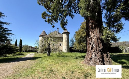 Chateau in Arthaz-Pont-Notre-Dame, Auvergne-Rhône-Alpes, France 1