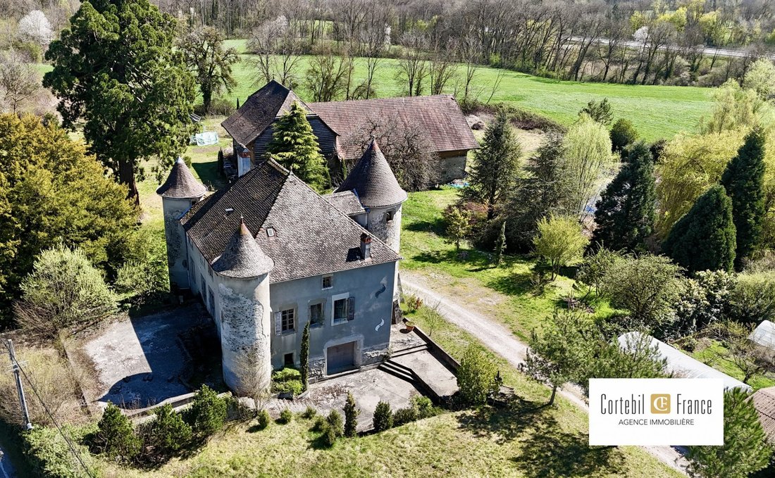 Chateau in Arthaz-Pont-Notre-Dame, Auvergne-Rhône-Alpes, France 3 - 17689025