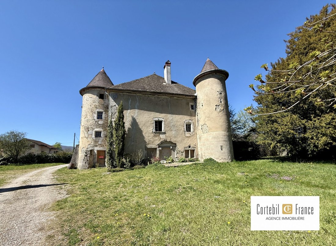 Chateau in Arthaz-Pont-Notre-Dame, Auvergne-Rhône-Alpes, France 4 - 17689025