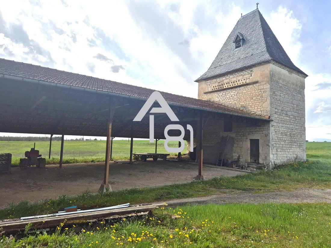 Country House in Arrondissement of Albi, Occitania, France 4 - 15705944