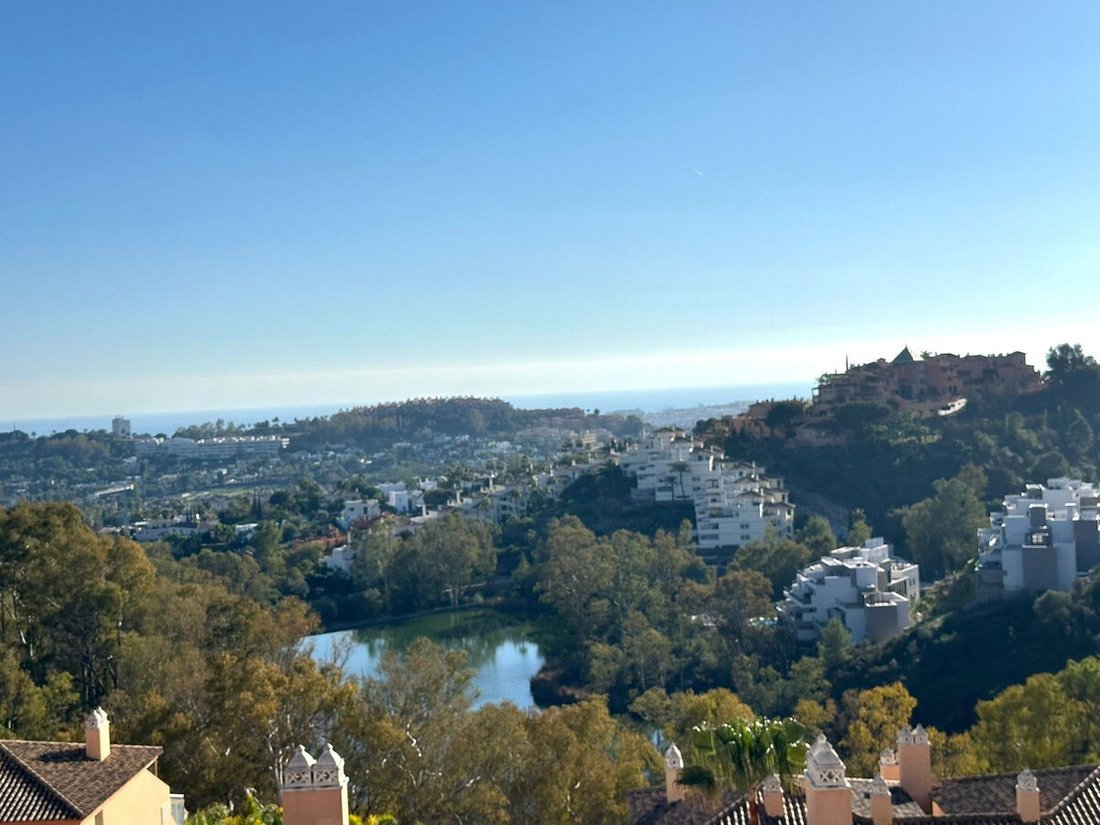 Penthouse in Nueva Andalucia, Marbella, Spain 2 - 17690579