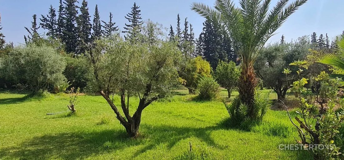 Villa in Marrakesh, Marrakesh-Safi, Morocco 2 - 17690562