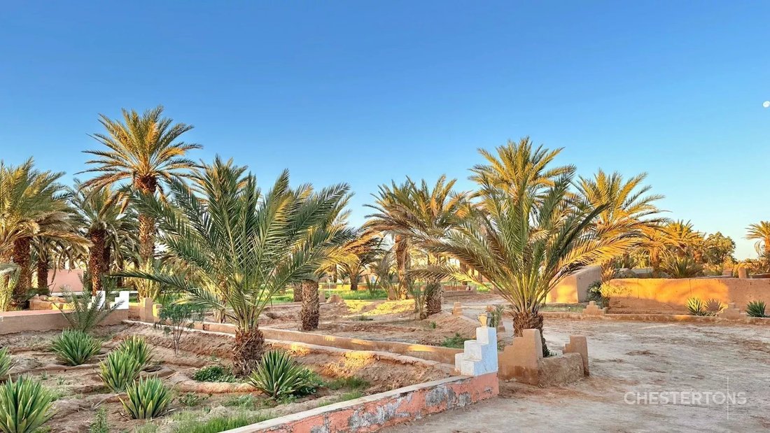 Tafetchna, Drâa-Tafilalet, Morocco 2 - 17690566