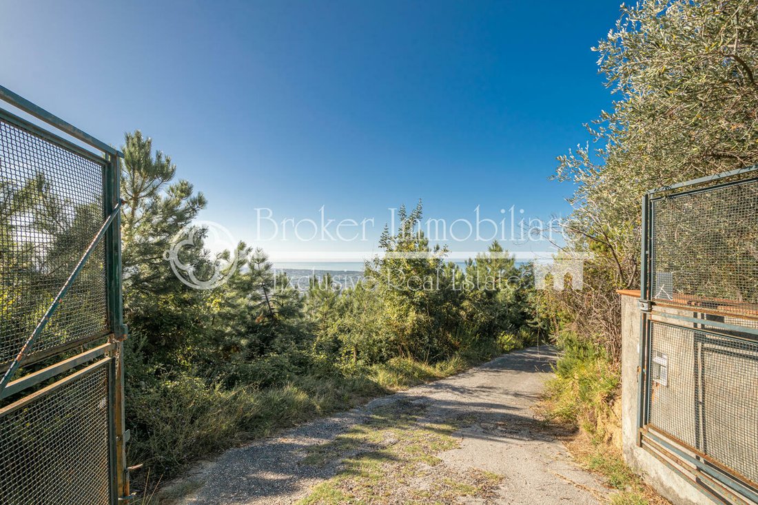 Villa in Pietrasanta, Tuscany, Italy 2 - 13326893