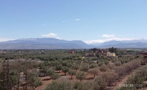 Land in Menara, Marrakesch-Safi, Marokko 1