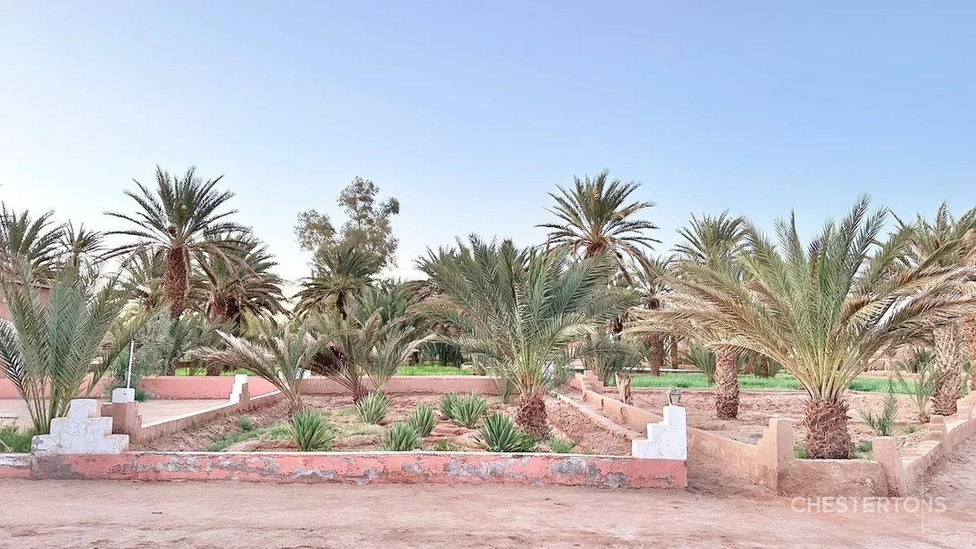 Tafetchna, Drâa-Tafilalet, Morocco 1 - 17690566
