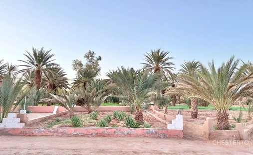 Tafetchna, Drâa-Tafilalet, Marocco 1