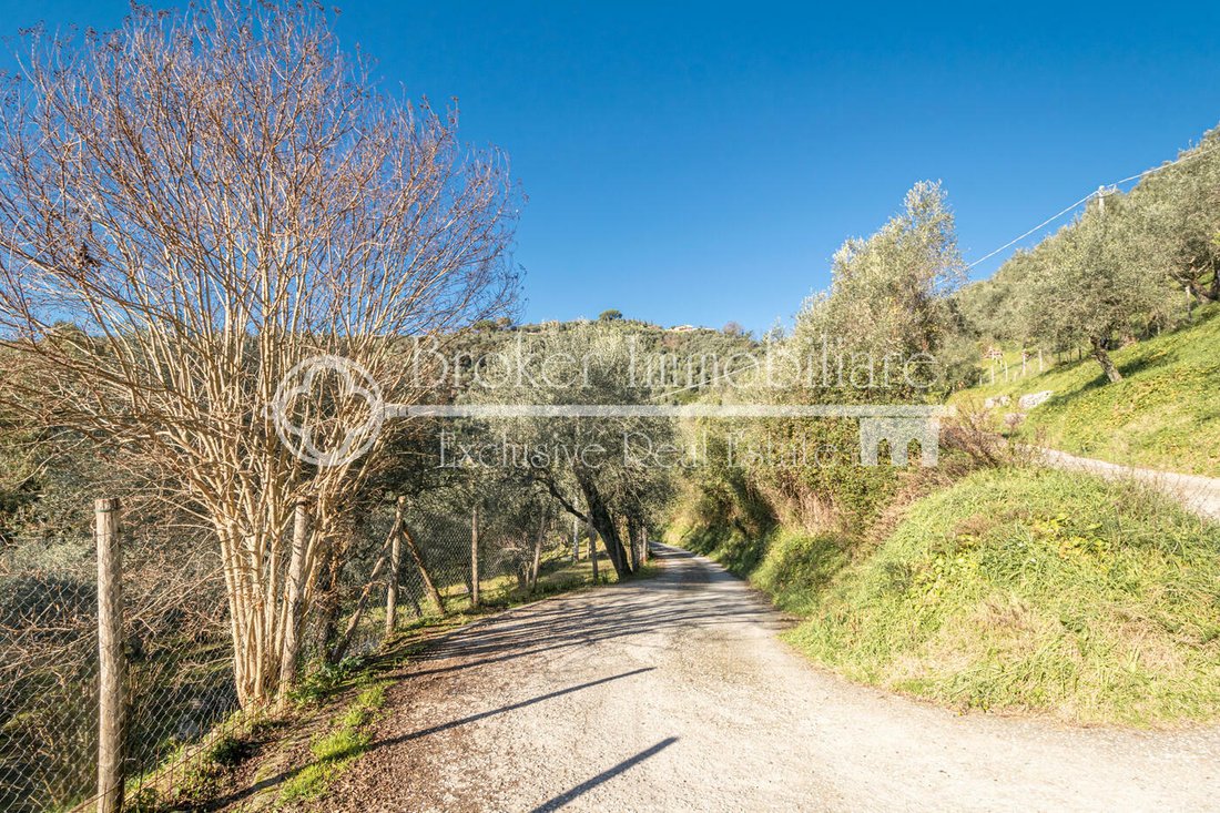 Villa in Massarosa, Tuscany, Italy 2 - 15130443