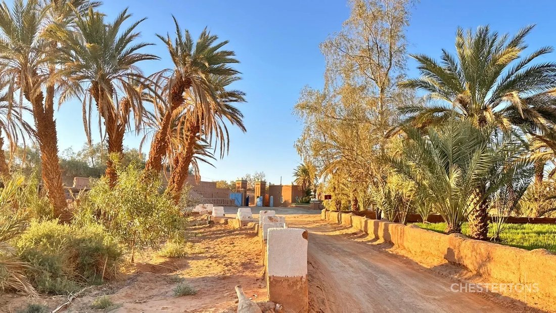 Tafetchna, Drâa-Tafilalet, Morocco 3 - 17690566