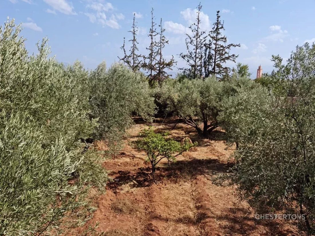 Land in Menara, Marrakesh-Safi, Morocco 4 - 17690581
