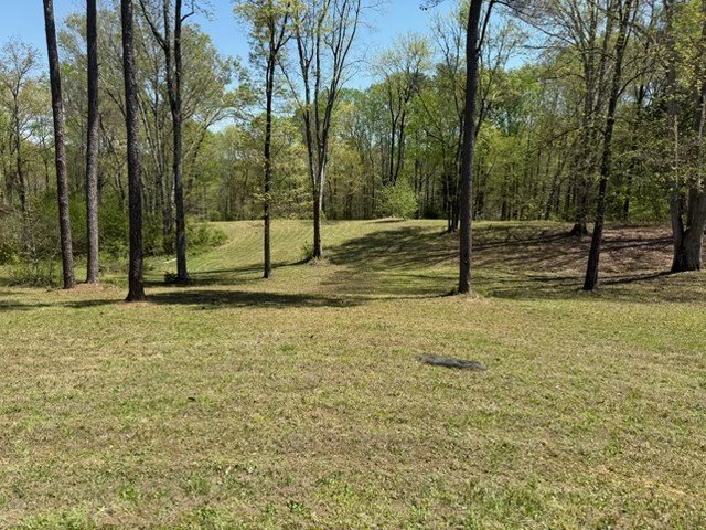 House in Paris, Tennessee, United States 1 - 17690217