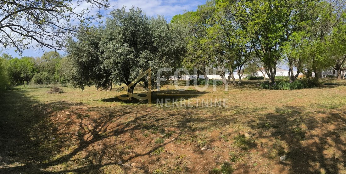 House in Rebici, Istria County, Croatia 1 - 17690933