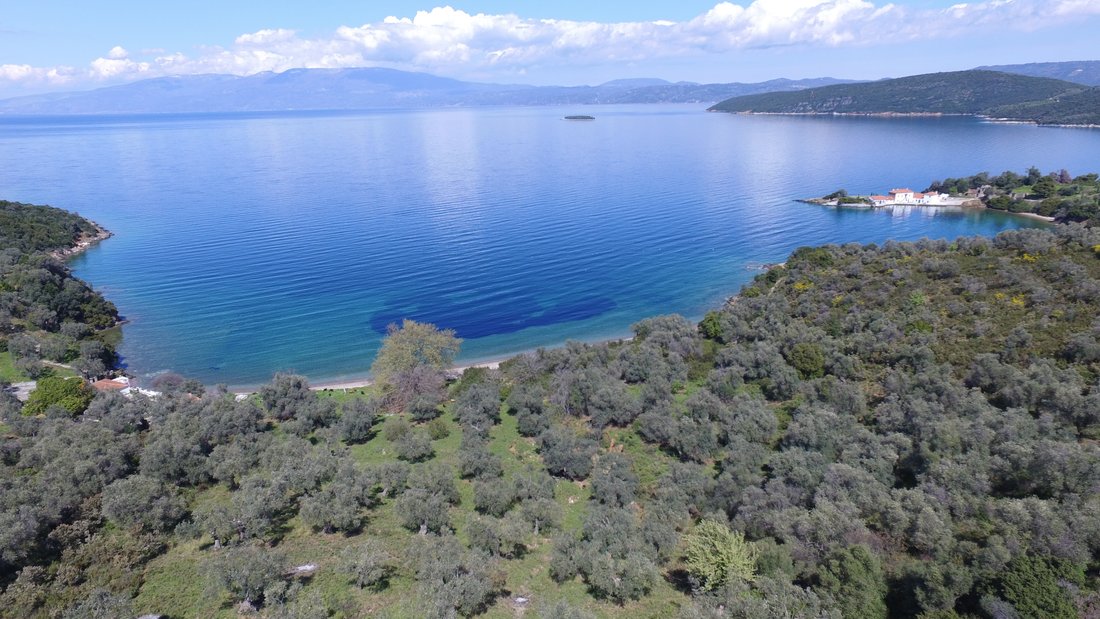 Land in Magnesia, Thessaly and Central Greece, Greece 2 - 17211152