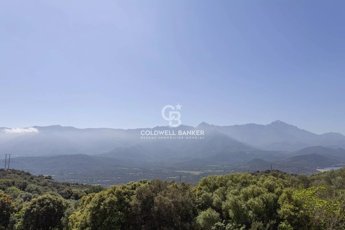 House in Monticello, Corsica, France 3 - 17691093