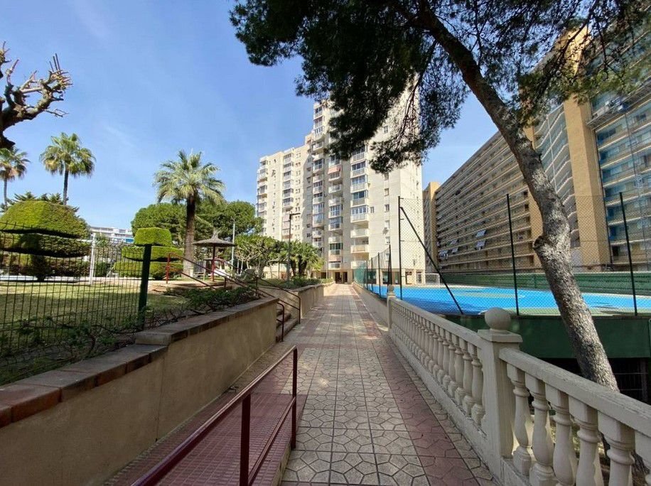 Apartment in San Juan Playa, Alicante, Valencian Community 5 - 17691881