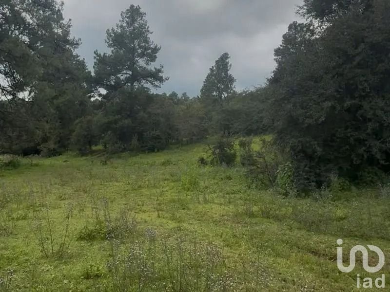 Land in Atemajac de Brizuela, Jalisco, Mexico 2 - 17693127