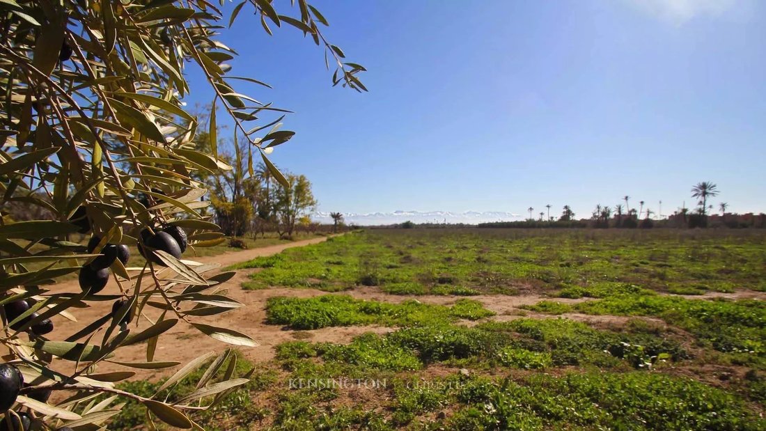 Terrain à Marrakech, Marrakech-Safi, Maroc 1 - 15276679