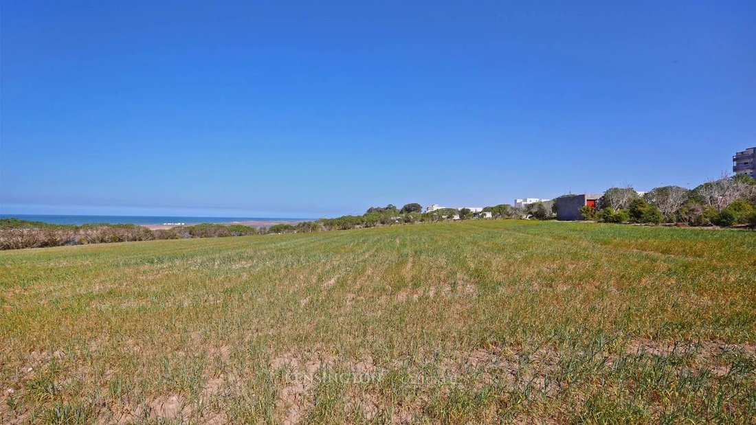 Terrain à Oualidia, Casablanca-Settat, Maroc 4 - 15276767