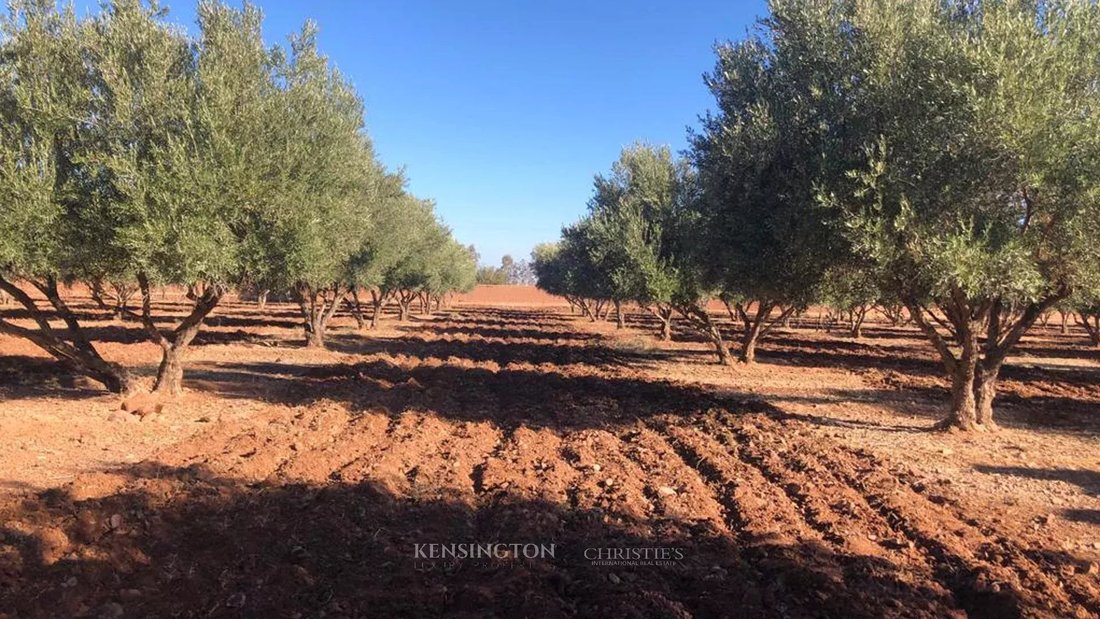 Terreno a Marrakech, Marrakech-Safi, Marocco 3 - 15276745