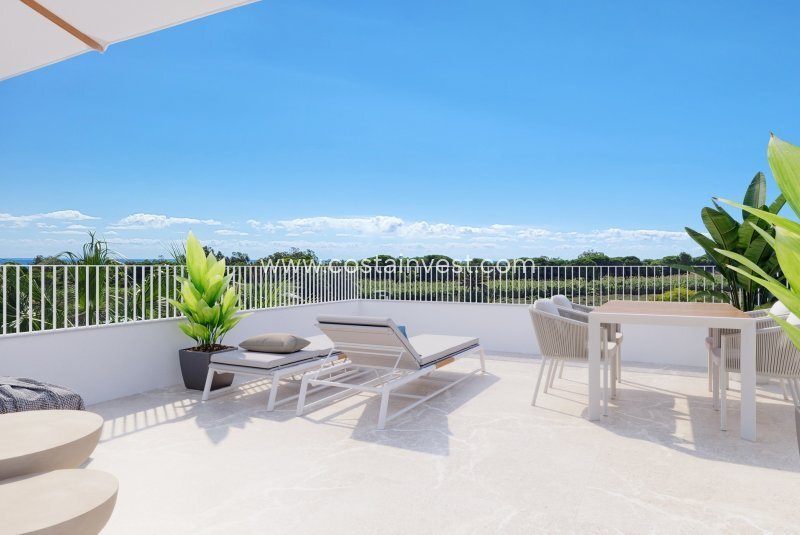 Villa in Elx / Elche, Valencian Community, Spain 4 - 17695250