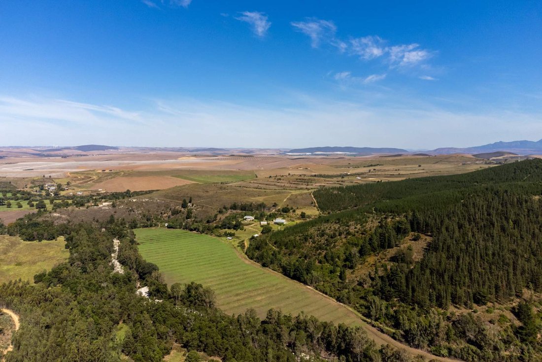 Farm Ranch in Swellendam, Western Cape, South Africa 3 - 17693567