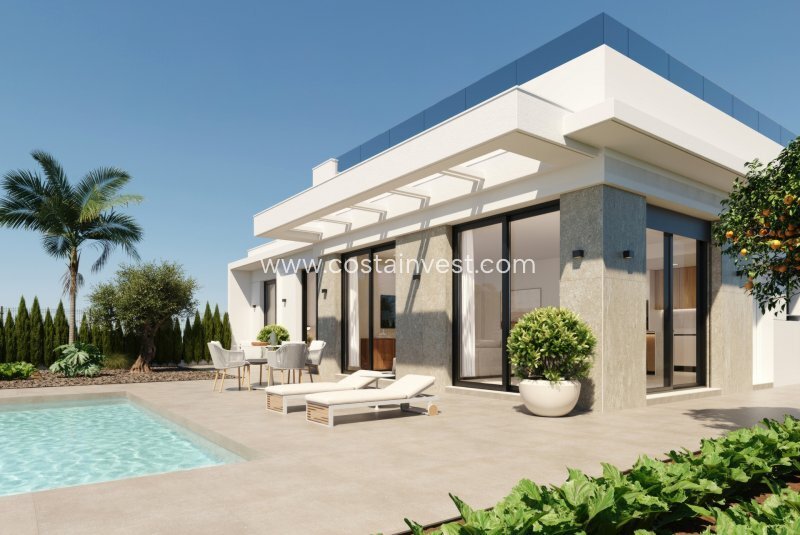 Villa in Cuevas de Reyllo, Fuente Alamo de Murcia, Spain 4 - 17695282