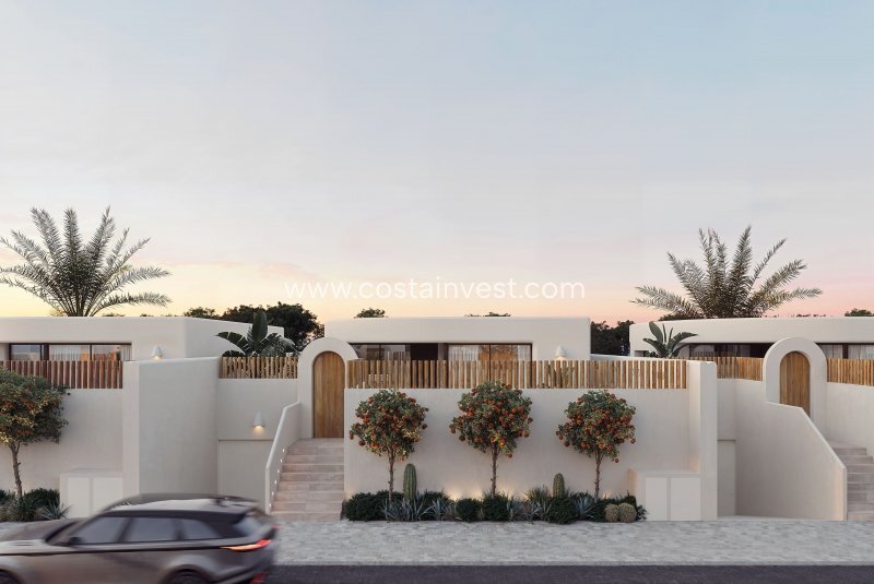 Villa in Algorfa, Valencian Community, Spain 5 - 17695074