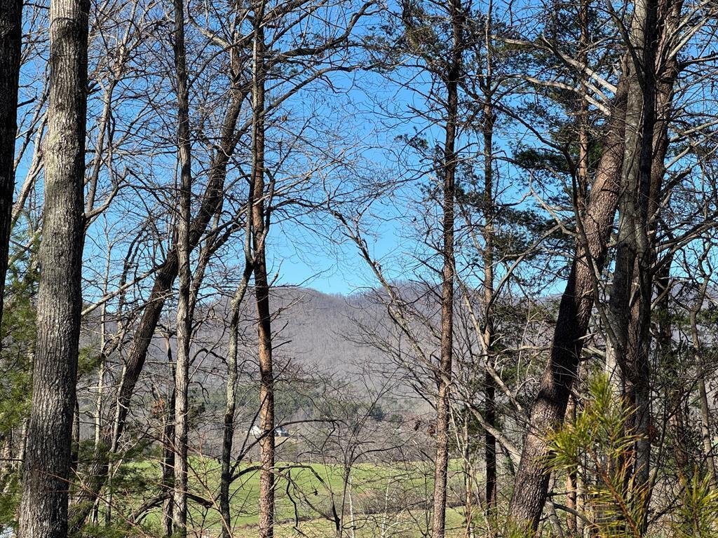 House in Blairsville, Georgia, United States 2 - 17694635