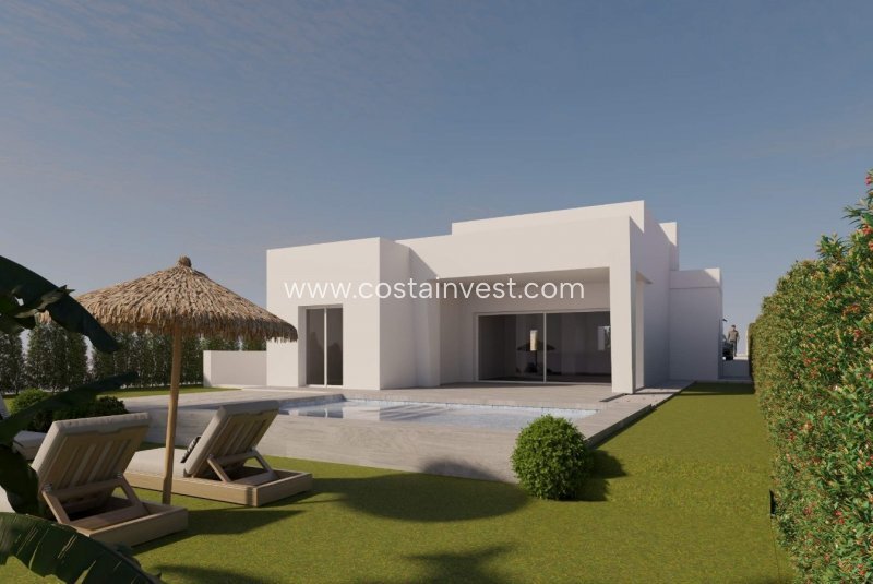 Villa in Algorfa, Valencian Community, Spain 2 - 17695084
