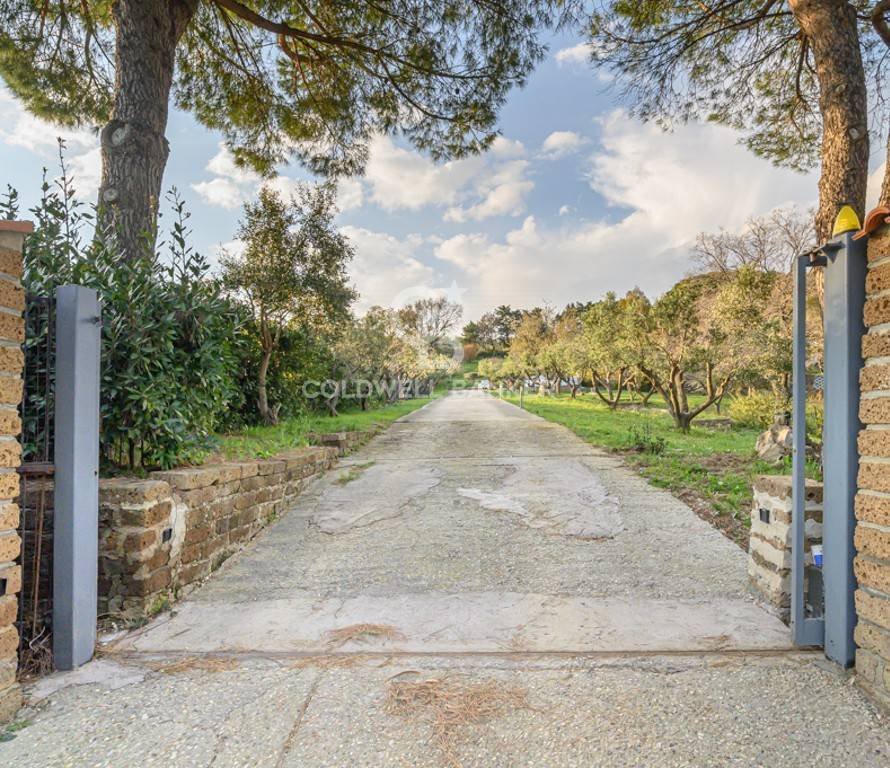 Villa in Elcetina - Valdambrini - Flower Zone, Santa Marinella, Lazio 4 - 17699608