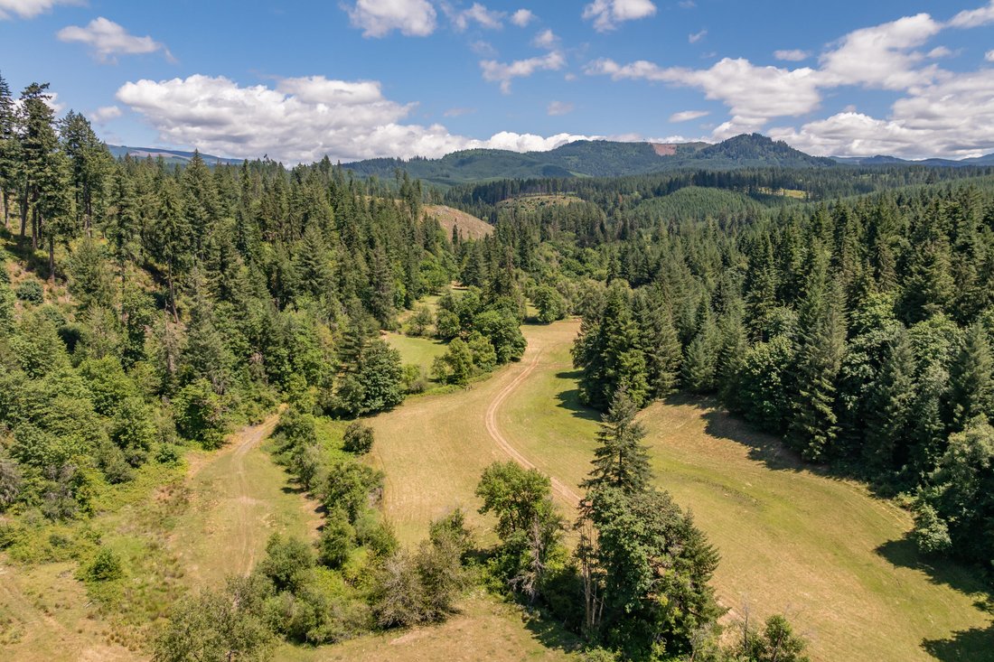 House in Lebanon, Oregon, United States 2 - 17698806