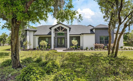 Casa a Wimauma, Florida, Stati Uniti 1